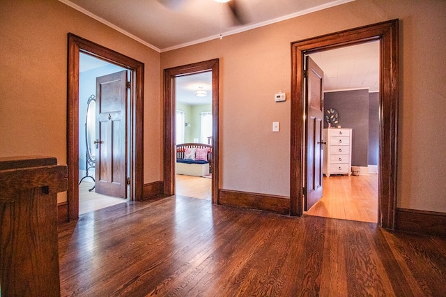 818 W Water St, Elmira, NY 14905 - hallway featuring dark wood-type flooring and crown molding