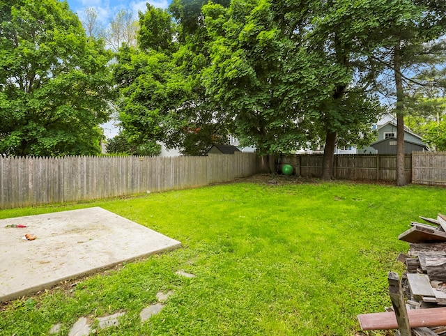 29 Cadwell Ave, Waverly, NY 14892 - view of yard featuring a patio area