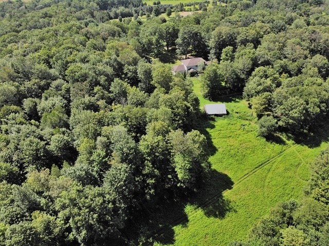 156 Hillcrest Dr, Coudersport, PA 16915 - room details with carpet floors and a brick fireplace