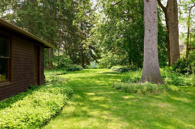 76 Front St, Owego, NY 13827 - view of green lawn