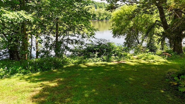 76 Front St, Owego, NY 13827 - water view featuring a heavily wooded area