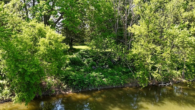 76 Front St, Owego, NY 13827 - view of local wilderness