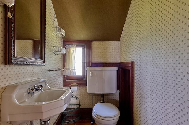 76 Front St, Owego, NY 13827 - half bath with wallpapered walls, toilet, a sink, and lofted ceiling
