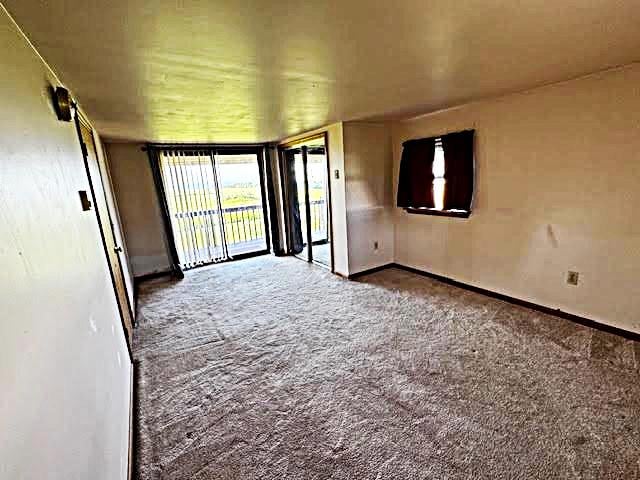 3437 Cragle Rd, Rome, PA 18837 - photo 55