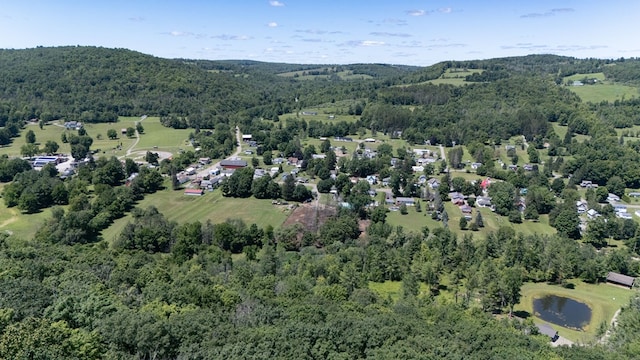 5321 Main St, Millerton, PA 16936 - photo 30
