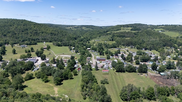 5321 Main St, Millerton, PA 16936 - photo 31