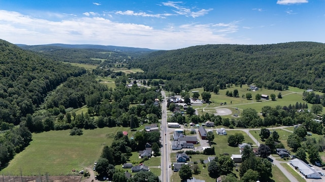 5321 Main St, Millerton, PA 16936 - photo 29