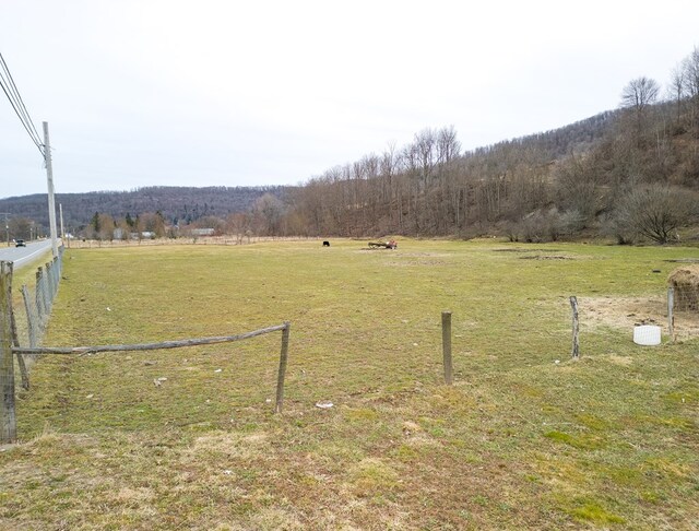 2561 Rte 49 E, Westfield, PA 16950 - photo 44