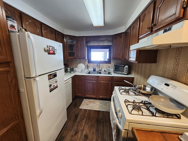 kitchen with dark hardwood / wood-style flooring, sink, white appliances, and dark brown cabinetry