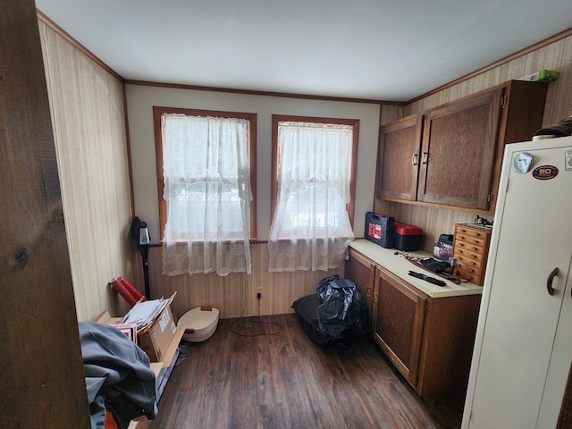 kitchen with dark wood-type flooring and ornamental molding