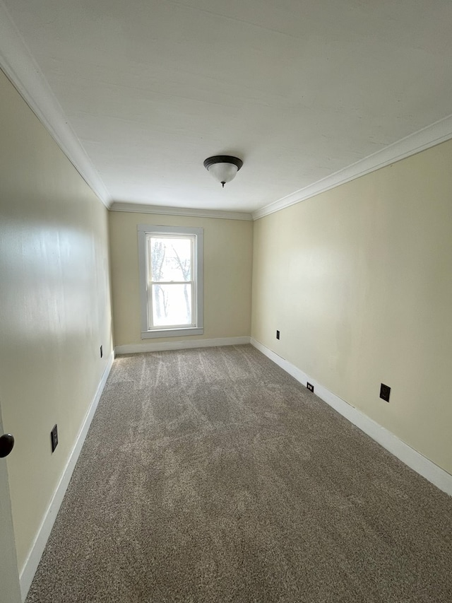 carpeted empty room with crown molding