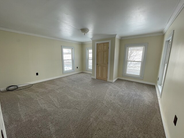 spare room featuring crown molding and carpet flooring