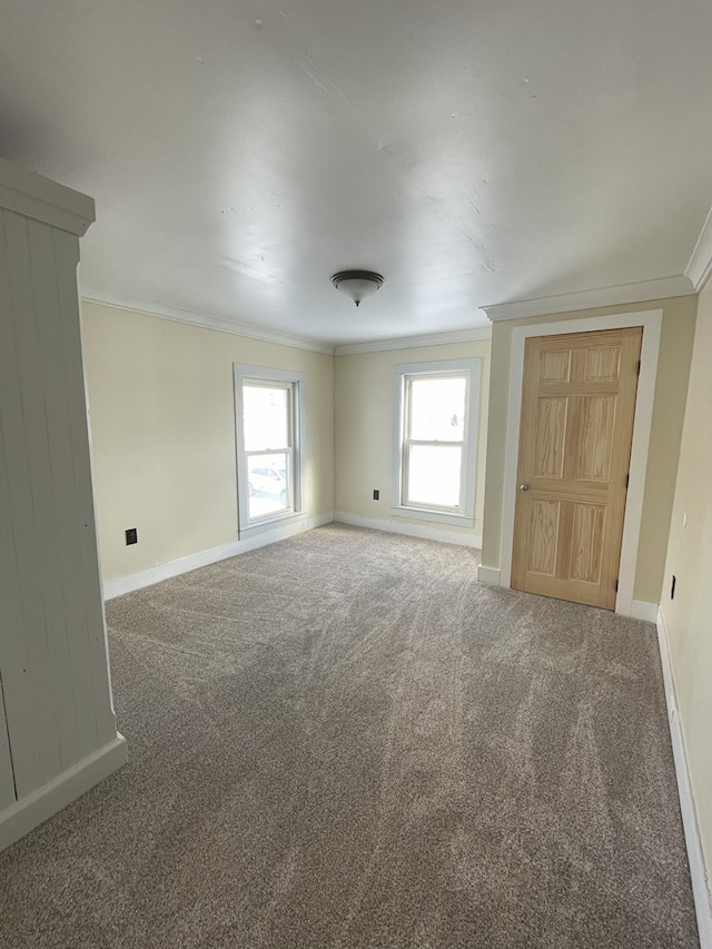 empty room featuring crown molding and carpet