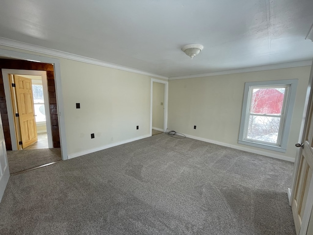 unfurnished room featuring crown molding and carpet