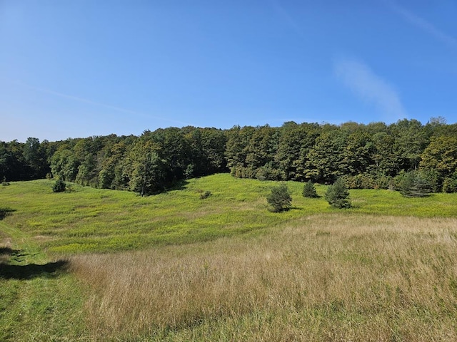 view of landscape featuring a rural view