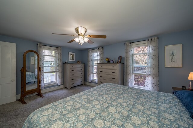 117 N Hopkins St, Sayre, PA 18840 - photo 41