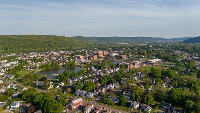 117 N Hopkins St, Sayre, PA 18840 - photo 17