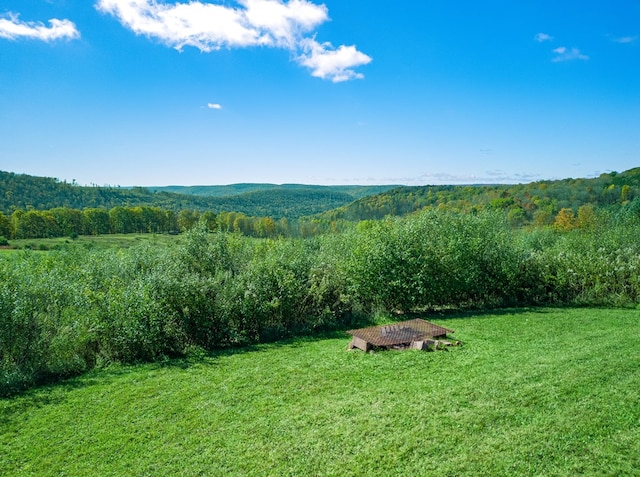 436 Teeter Rd, Genesee, PA 16923 - mountain view featuring a heavily wooded area