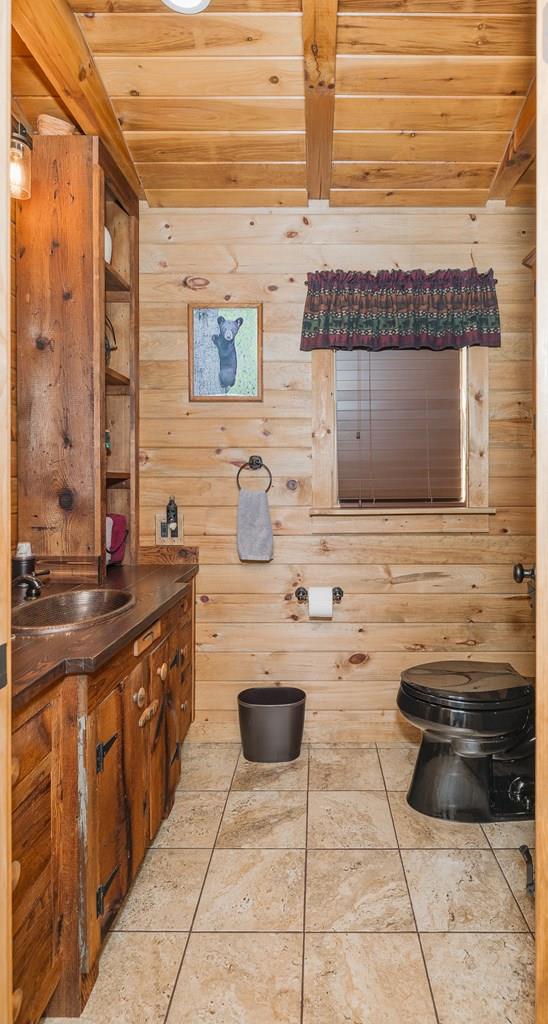 436 Teeter Rd, Genesee, PA 16923 - bathroom with wood ceiling, wooden walls, tile patterned flooring, and vanity