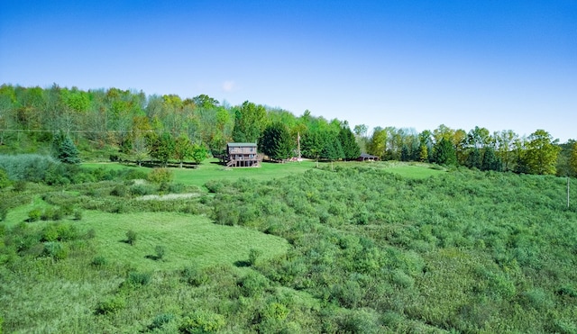 436 Teeter Rd, Genesee, PA 16923 - view of property location featuring rural landscape and a heavily wooded area