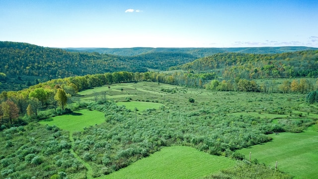 436 Teeter Rd, Genesee, PA 16923 - bird's eye view of a heavily wooded area