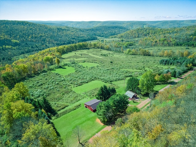 436 Teeter Rd, Genesee, PA 16923 - aerial view of sparsely populated area featuring a heavily wooded area