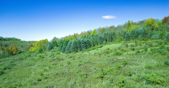 436 Teeter Rd, Genesee, PA 16923 - view of tree filled area