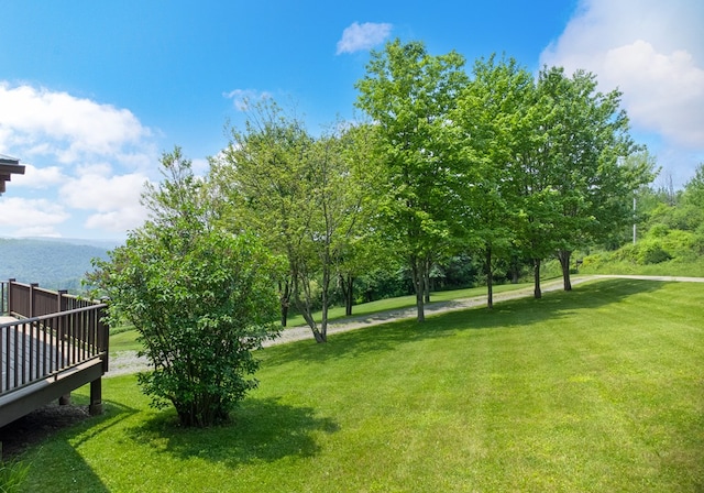 436 Teeter Rd, Genesee, PA 16923 - view of grassy yard