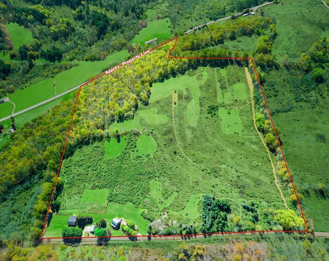 436 Teeter Rd, Genesee, PA 16923 - overview of rural landscape with property boundaries highlighted and a forest