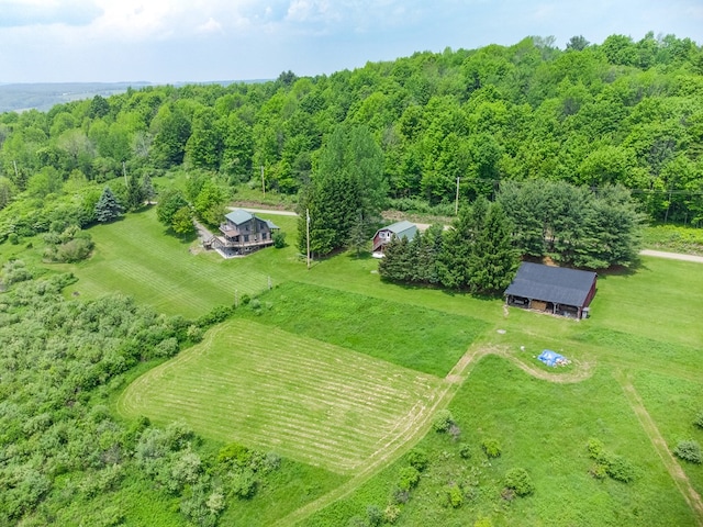 436 Teeter Rd, Genesee, PA 16923 - aerial view of sparsely populated area featuring a heavily wooded area