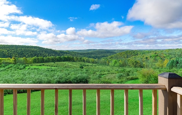 436 Teeter Rd, Genesee, PA 16923 - view of mountain background featuring a forest