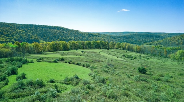 436 Teeter Rd, Genesee, PA 16923 - view of mountain backdrop featuring a heavily wooded area