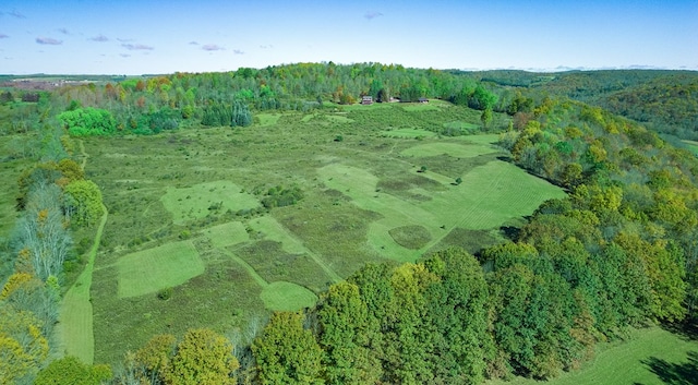 436 Teeter Rd, Genesee, PA 16923 - aerial view of property's location featuring a heavily wooded area