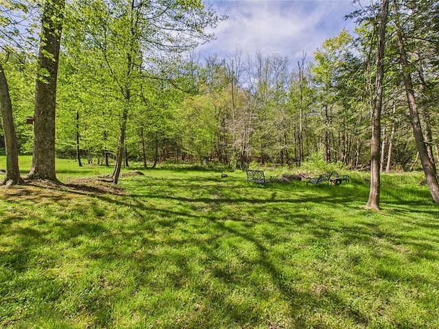 view of grassy yard