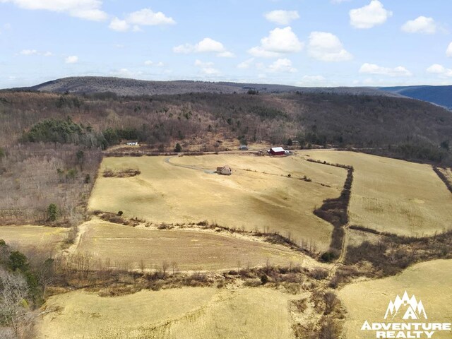 272 Crawford Rd, Dushore, PA 18614 - photo 35