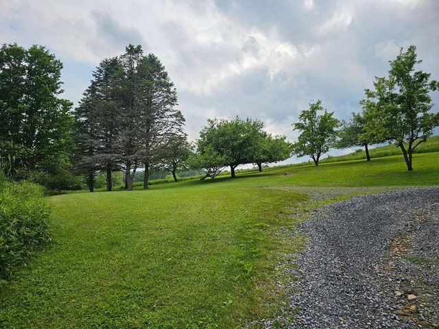 516 Dutch Hill Rd, Coudersport, PA 16915 - surrounding community featuring a yard