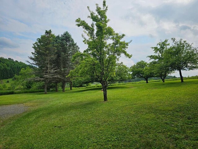 516 Dutch Hill Rd, Coudersport, PA 16915 - view of property's community featuring a lawn