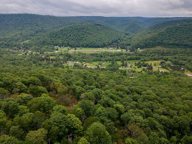 property view of mountains featuring a forest view