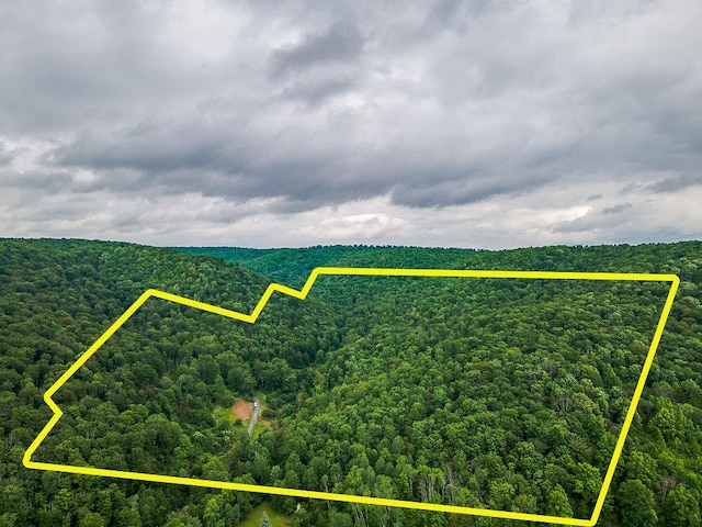 aerial view with a view of trees