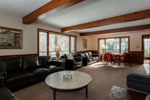 carpeted living room featuring beam ceiling and wood walls