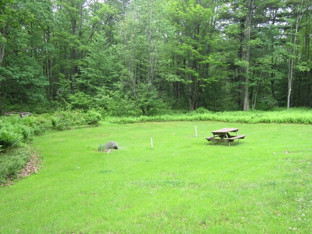185 Big Buck Rd, Westfield, PA 16950 - photo 24