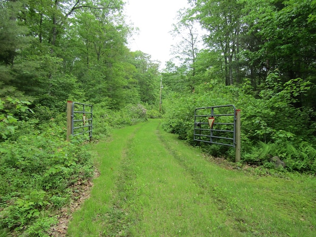 185 Big Buck Rd, Westfield, PA 16950 - photo 18