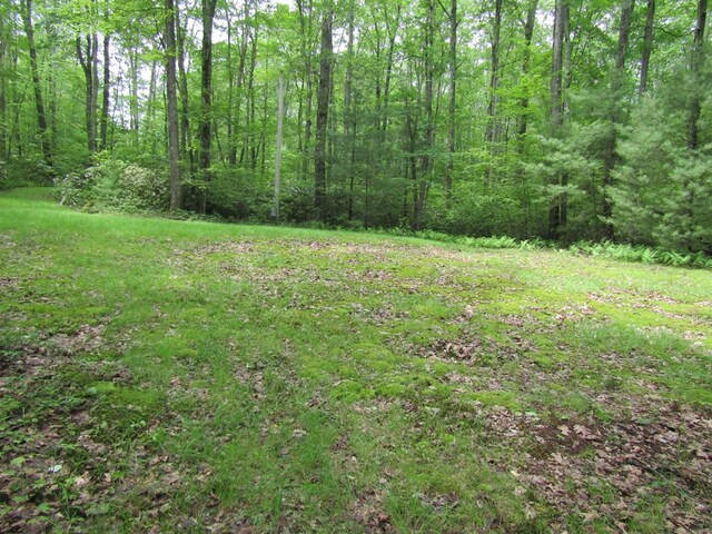 185 Big Buck Rd, Westfield, PA 16950 - photo 27