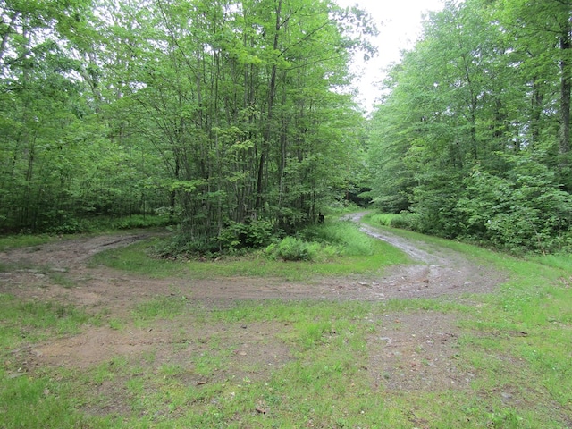 185 Big Buck Rd, Westfield, PA 16950 - photo 19