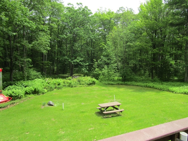 185 Big Buck Rd, Westfield, PA 16950 - photo 25