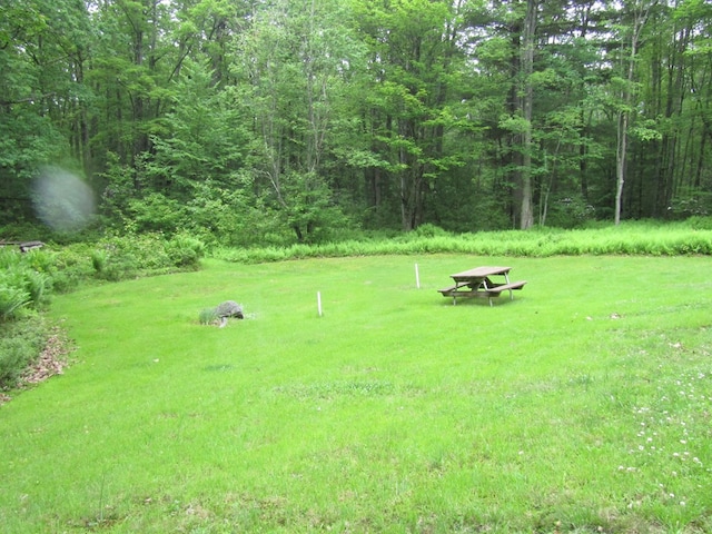 185 Big Buck Rd, Westfield, PA 16950 - photo 23