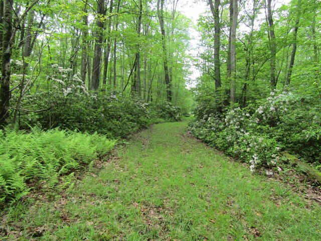 185 Big Buck Rd, Westfield, PA 16950 - photo 28