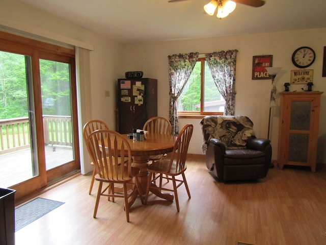 185 Big Buck Rd, Westfield, PA 16950 - photo 4