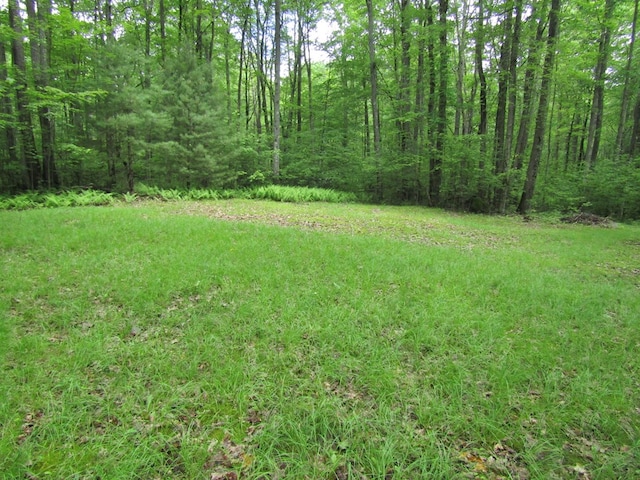 185 Big Buck Rd, Westfield, PA 16950 - photo 29
