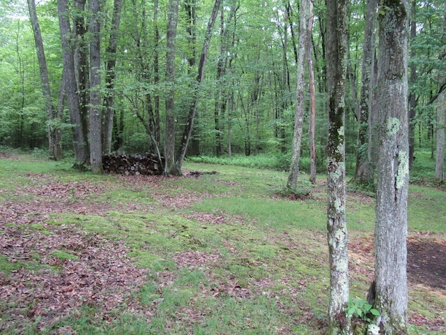 185 Big Buck Rd, Westfield, PA 16950 - photo 22